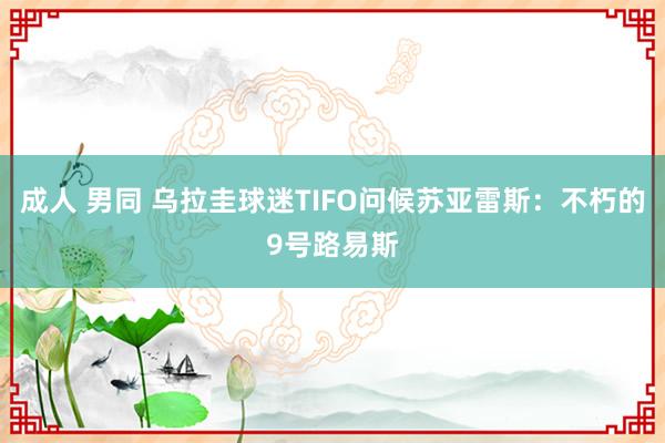 成人 男同 乌拉圭球迷TIFO问候苏亚雷斯：不朽的9号路易斯