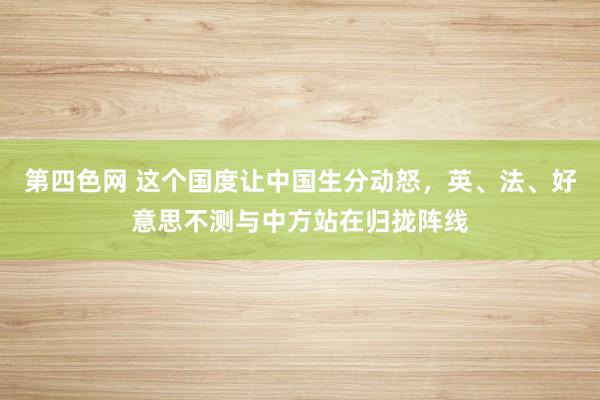 第四色网 这个国度让中国生分动怒，英、法、好意思不测与中方站在归拢阵线