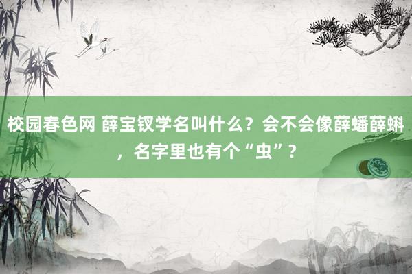 校园春色网 薛宝钗学名叫什么？会不会像薛蟠薛蝌，名字里也有个“虫”？