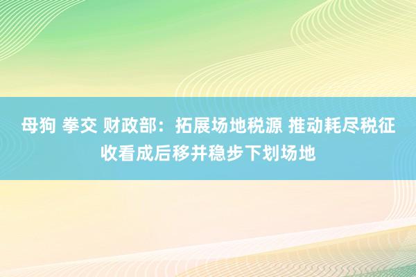 母狗 拳交 财政部：拓展场地税源 推动耗尽税征收看成后移并稳步下划场地