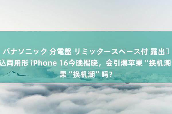 パナソニック 分電盤 リミッタースペース付 露出・半埋込両用形 iPhone 16今晚揭晓，会引爆苹果“换机潮”吗？