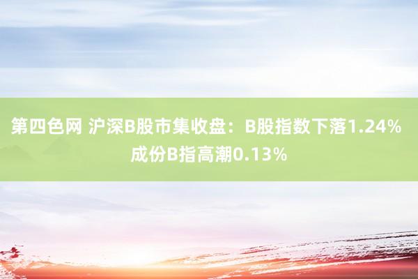 第四色网 沪深B股市集收盘：B股指数下落1.24% 成份B指高潮0.13%