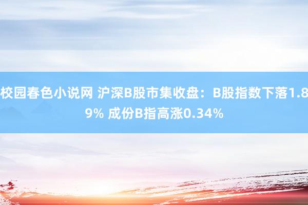 校园春色小说网 沪深B股市集收盘：B股指数下落1.89% 成份B指高涨0.34%