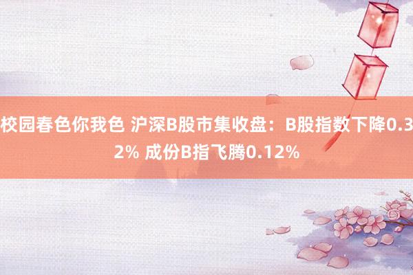 校园春色你我色 沪深B股市集收盘：B股指数下降0.32% 成份B指飞腾0.12%