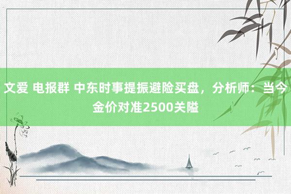 文爱 电报群 中东时事提振避险买盘，分析师：当今金价对准2500关隘