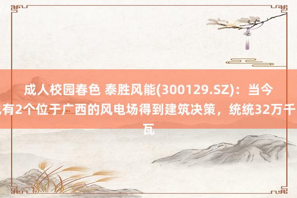 成人校园春色 泰胜风能(300129.SZ)：当今已有2个位于广西的风电场得到建筑决策，统统32万千瓦