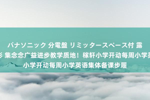 パナソニック 分電盤 リミッタースペース付 露出・半埋込両用形 集念念广益进步教学质地！稼轩小学开动每周小学英语集体备课步履