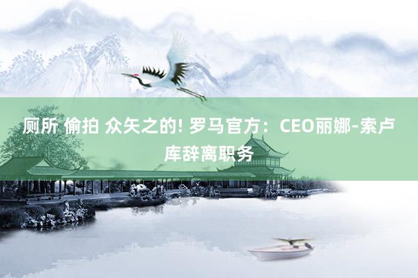 厕所 偷拍 众矢之的! 罗马官方：CEO丽娜-索卢库辞离职务