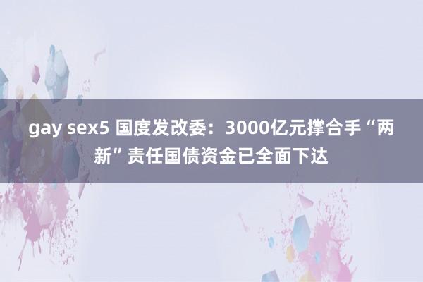 gay sex5 国度发改委：3000亿元撑合手“两新”责任国债资金已全面下达