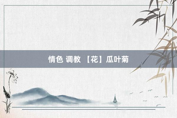 情色 调教 【花】瓜叶菊