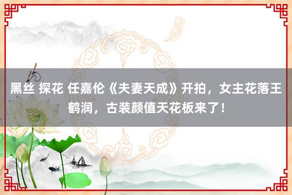 黑丝 探花 任嘉伦《夫妻天成》开拍，女主花落王鹤润，古装颜值天花板来了！