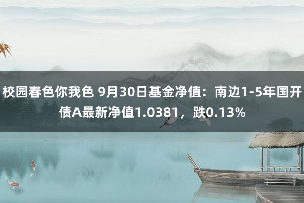 校园春色你我色 9月30日基金净值：南边1-5年国开债A最新净值1.0381，跌0.13%