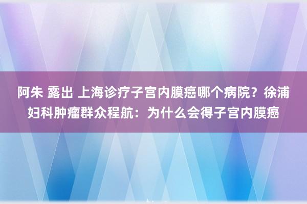 阿朱 露出 上海诊疗子宫内膜癌哪个病院？徐浦妇科肿瘤群众程航：为什么会得子宫内膜癌