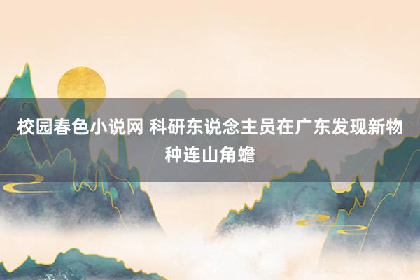 校园春色小说网 科研东说念主员在广东发现新物种连山角蟾