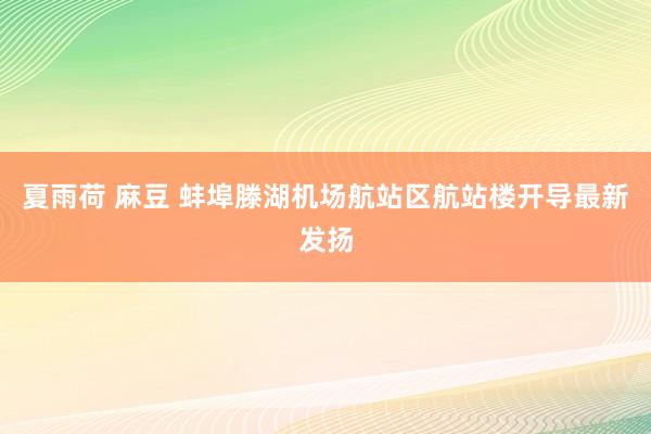 夏雨荷 麻豆 蚌埠滕湖机场航站区航站楼开导最新发扬