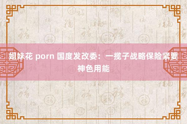 姐妹花 porn 国度发改委：一揽子战略保险紧要神色用能