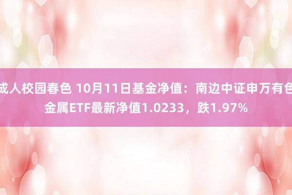 成人校园春色 10月11日基金净值：南边中证申万有色金属ETF最新净值1.0233，跌1.97%