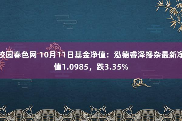 校园春色网 10月11日基金净值：泓德睿泽搀杂最新净值1.0985，跌3.35%