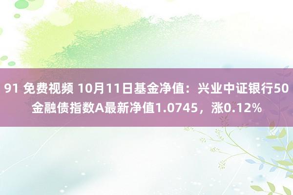 91 免费视频 10月11日基金净值：兴业中证银行50金融债指数A最新净值1.0745，涨0.12%