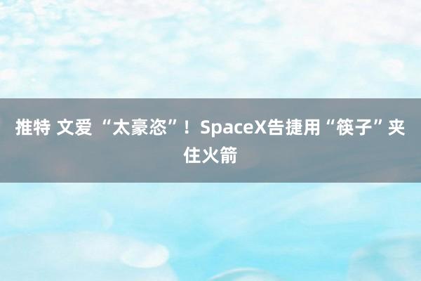 推特 文爱 “太豪恣”！SpaceX告捷用“筷子”夹住火箭