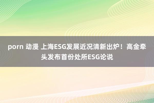 porn 动漫 上海ESG发展近况清新出炉！高金牵头发布首份处所ESG论说