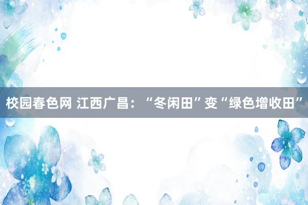 校园春色网 江西广昌：“冬闲田”变“绿色增收田”