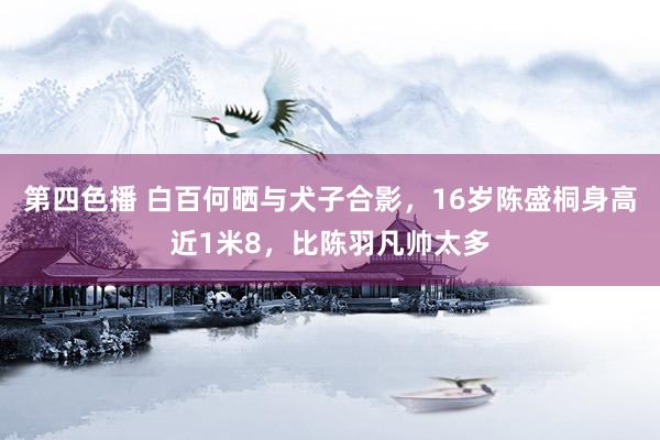 第四色播 白百何晒与犬子合影，16岁陈盛桐身高近1米8，比陈羽凡帅太多