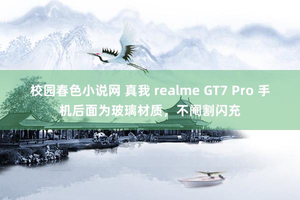 校园春色小说网 真我 realme GT7 Pro 手机后面为玻璃材质，不阉割闪充