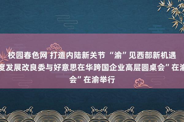 校园春色网 打造内陆新关节 “渝”见西部新机遇 “国度发展改良委与好意思在华跨国企业高层圆桌会”在渝举行