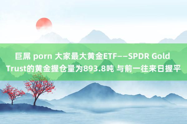 巨屌 porn 大家最大黄金ETF——SPDR Gold Trust的黄金握仓量为893.8吨 与前一往来日握平