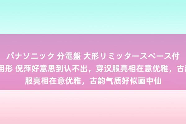 パナソニック 分電盤 大形リミッタースペース付 露出・半埋込両用形 倪萍好意思到认不出，穿汉服亮相在意优雅，古韵气质好似画中仙