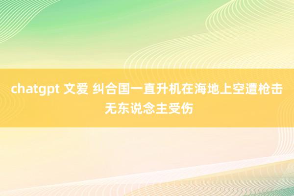 chatgpt 文爱 纠合国一直升机在海地上空遭枪击 无东说念主受伤