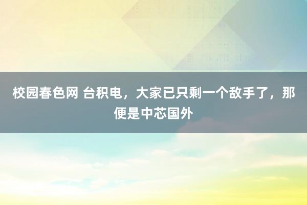 校园春色网 台积电，大家已只剩一个敌手了，那便是中芯国外