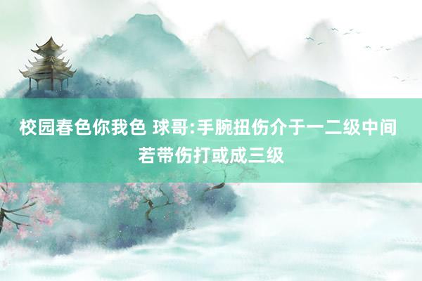 校园春色你我色 球哥:手腕扭伤介于一二级中间 若带伤打或成三级