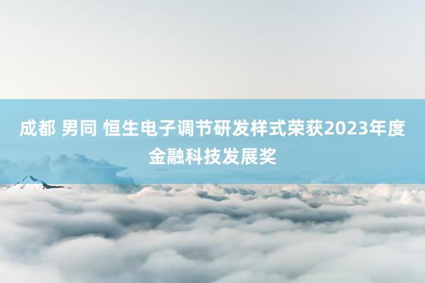 成都 男同 恒生电子调节研发样式荣获2023年度金融科技发展奖