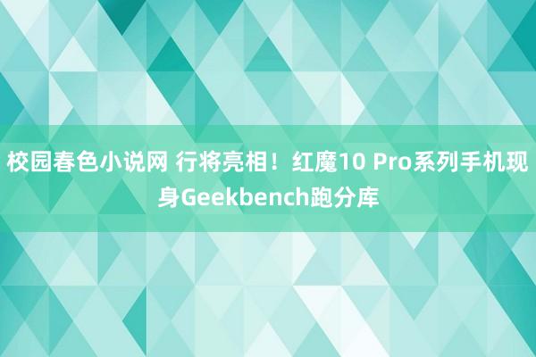 校园春色小说网 行将亮相！红魔10 Pro系列手机现身Geekbench跑分库