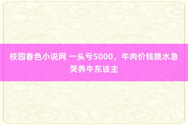 校园春色小说网 一头亏5000，牛肉价钱跳水急哭养牛东谈主