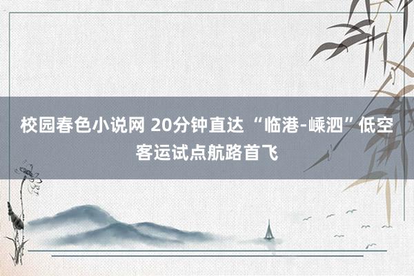 校园春色小说网 20分钟直达 “临港-嵊泗”低空客运试点航路首飞