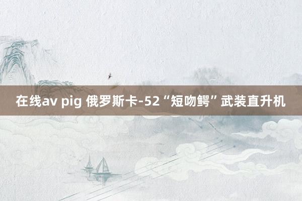 在线av pig 俄罗斯卡-52“短吻鳄”武装直升机