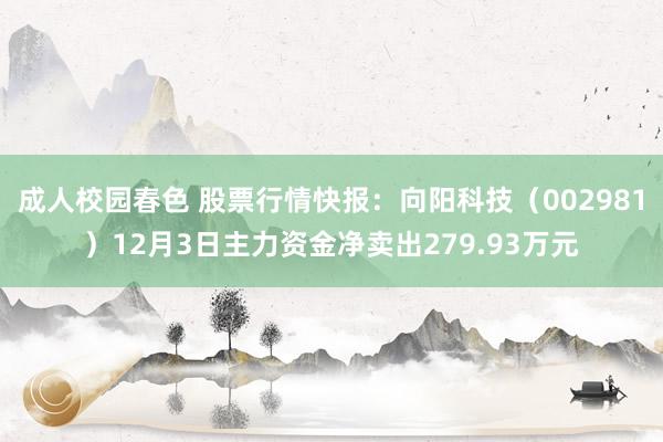 成人校园春色 股票行情快报：向阳科技（002981）12月3日主力资金净卖出279.93万元