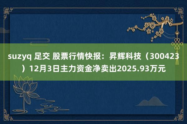 suzyq 足交 股票行情快报：昇辉科技（300423）12月3日主力资金净卖出2025.93万元