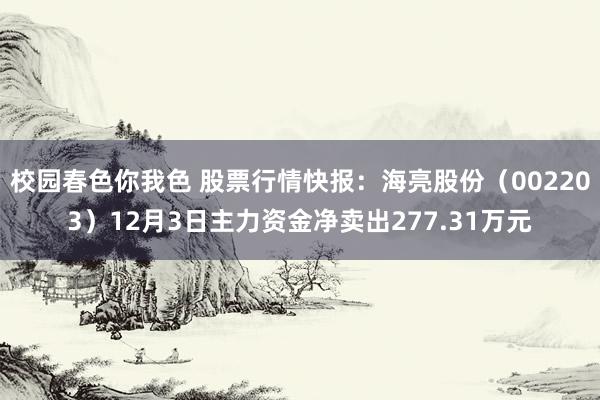 校园春色你我色 股票行情快报：海亮股份（002203）12月3日主力资金净卖出277.31万元