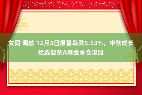 女同 调教 12月3日报喜鸟跌5.53%，中欧成长优选混杂A基金重仓该股