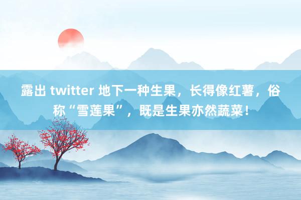 露出 twitter 地下一种生果，长得像红薯，俗称“雪莲果”，既是生果亦然蔬菜！