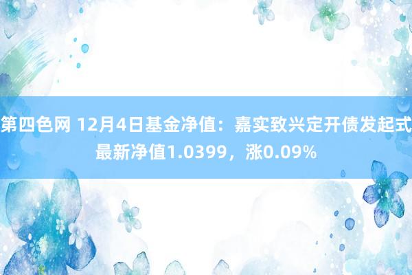 第四色网 12月4日基金净值：嘉实致兴定开债发起式最新净值1.0399，涨0.09%