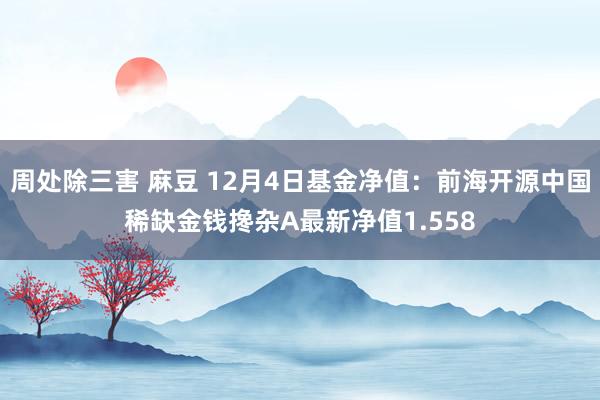 周处除三害 麻豆 12月4日基金净值：前海开源中国稀缺金钱搀杂A最新净值1.558