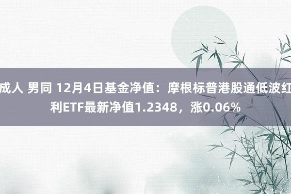 成人 男同 12月4日基金净值：摩根标普港股通低波红利ETF最新净值1.2348，涨0.06%