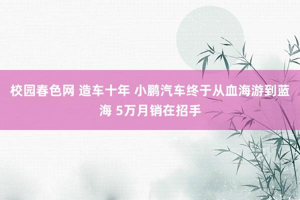 校园春色网 造车十年 小鹏汽车终于从血海游到蓝海 5万月销在招手