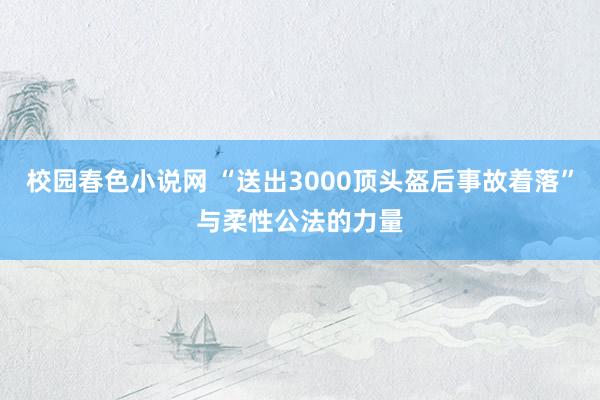 校园春色小说网 “送出3000顶头盔后事故着落”与柔性公法的力量