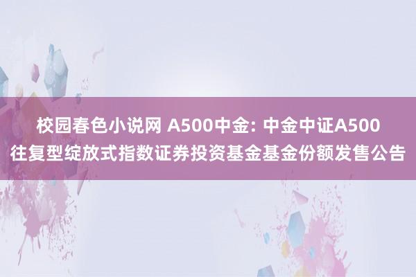 校园春色小说网 A500中金: 中金中证A500往复型绽放式指数证券投资基金基金份额发售公告